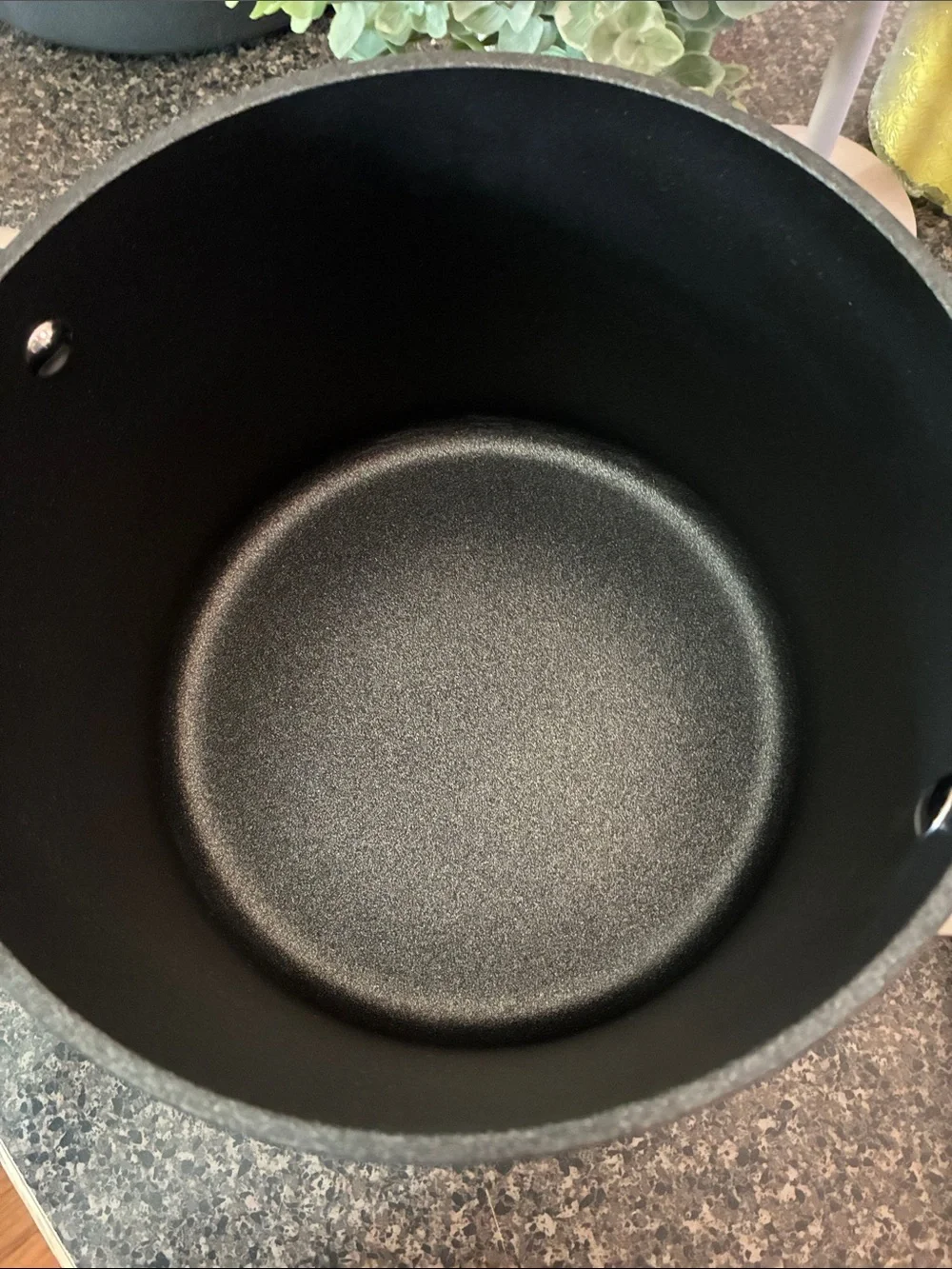 Ninja Foodi NeverStick Hard-Anodized Stockpot with Glass Lid 6.5 Qt